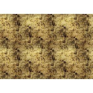 Papier peint panoramique Star Collision Gold&Silver