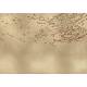 Papier peint Panoramique Eolia Gold&Silver