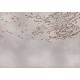 Papier peint Panoramique Eolia Gold&Silver