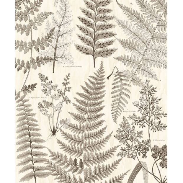 Papier peint Herbarium