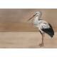 Papier Peint Stork Mother