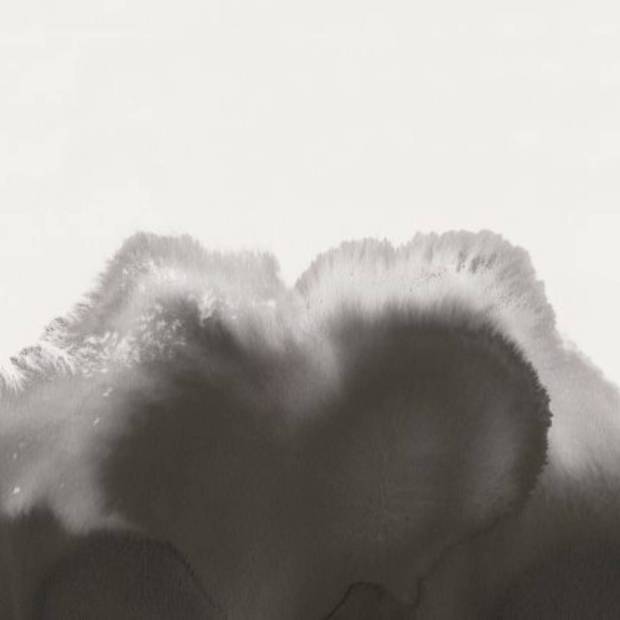 Papier peint Panoramique Coral Reefs Vinyle