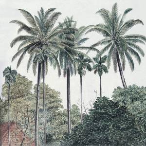 Panoramique Palm Grove