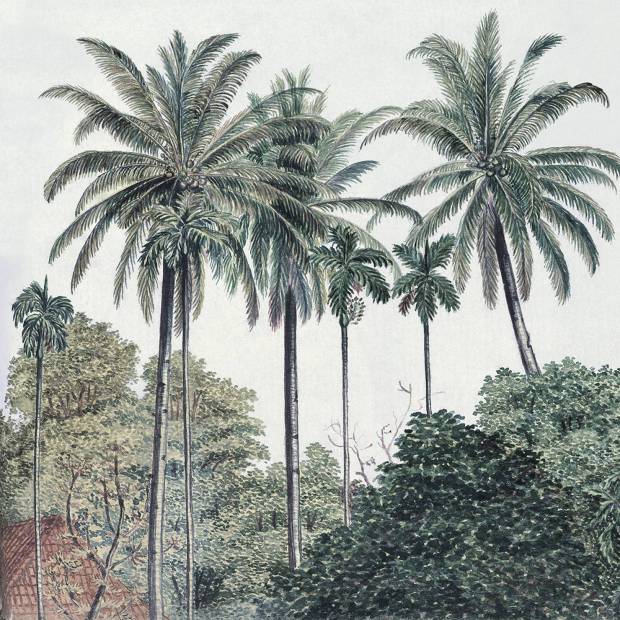 Papier peint Panoramique sur mesure Palm Grove