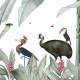 Papier peint Panoramique sur mesure Casela Birds