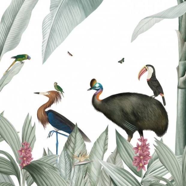 Papier peint Panoramique sur mesure Casela Birds