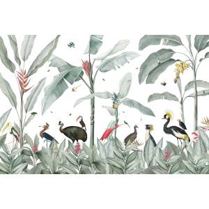 Papier peint Panoramique sur mesure Casela Birds