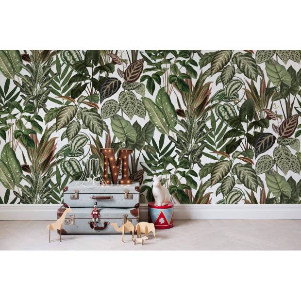 Papier peint Panoramique sur mesure Mischievous Monkeys