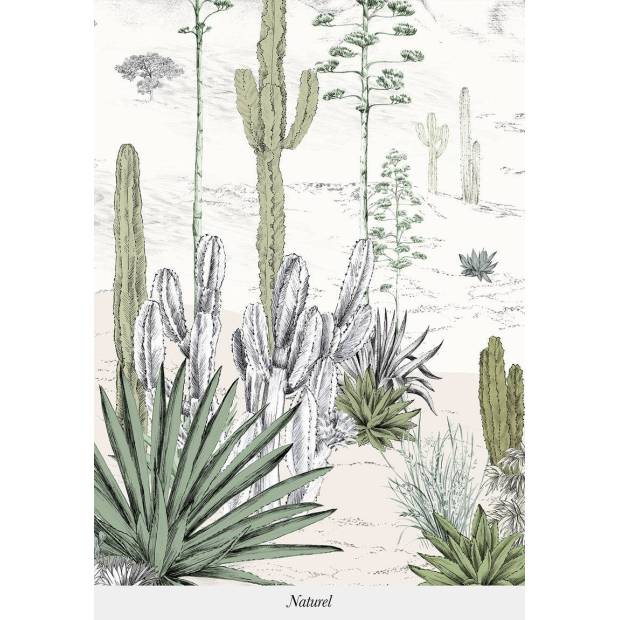 Papier peint panoramique sur mesure Succulentes