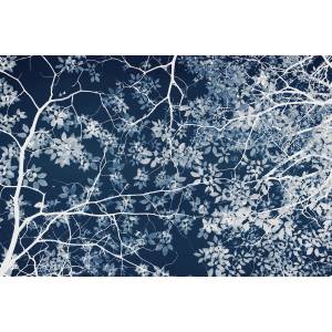 Papier peint Panoramique sur mesure Jardin Nocturne