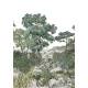 Papier peint Panoramique sur mesure Forêt de Bretagne