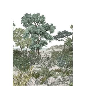 Papier peint Panoramique sur mesure Forêt de Bretagne
