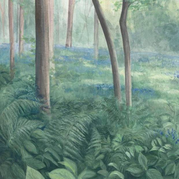 Papier peint Panoramique sur mesure l'Orée du bois