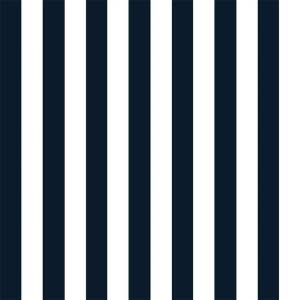 Tissu Captains Cove Stripe