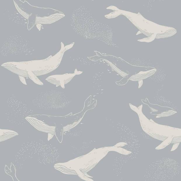 Papier Peint Whales