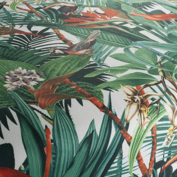 Tissu Jungle Birds