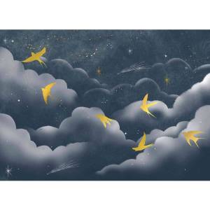 Papier peint Panoramique sur mesure Les constellations et les Hirondelles