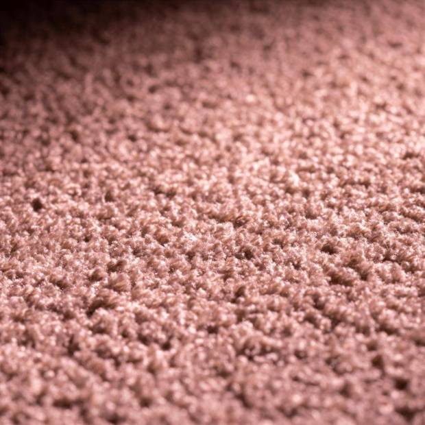 Moquette Dreamer