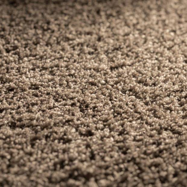Moquette Dreamer