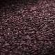 Moquette Mystic SD