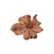 Tapis Flora Bloom 3 Rug