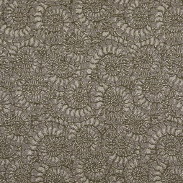 Tissu Ammonite