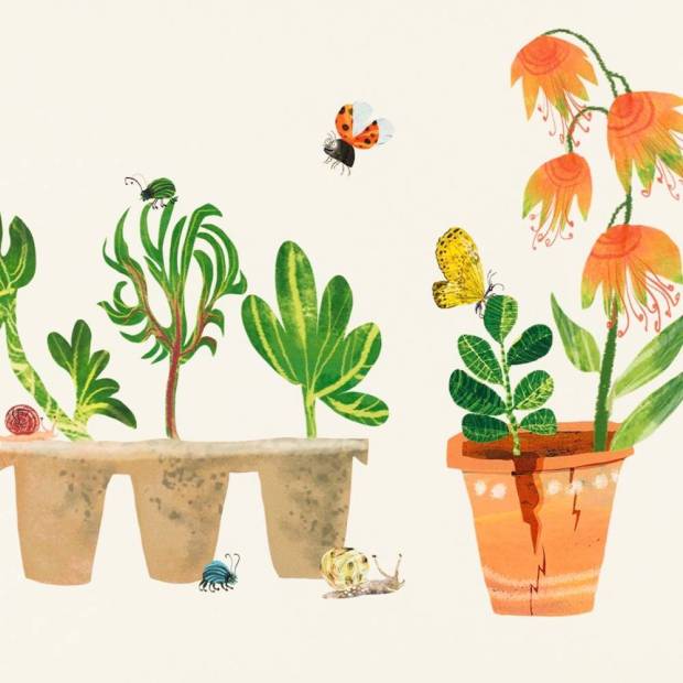 Papier Peint Frise Garden Grow