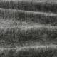 Tissu Ellice