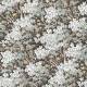 Papier peint Sous Bois Fleuri