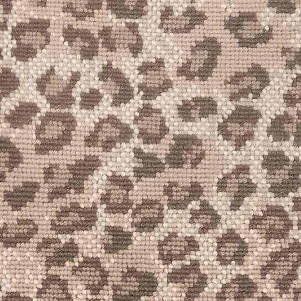 Moquette Salta