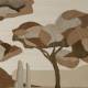Papier peint Panoramique Under the Sycamore Tree