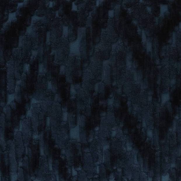 Tissu Fossile