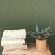 Papier Peint Sisal