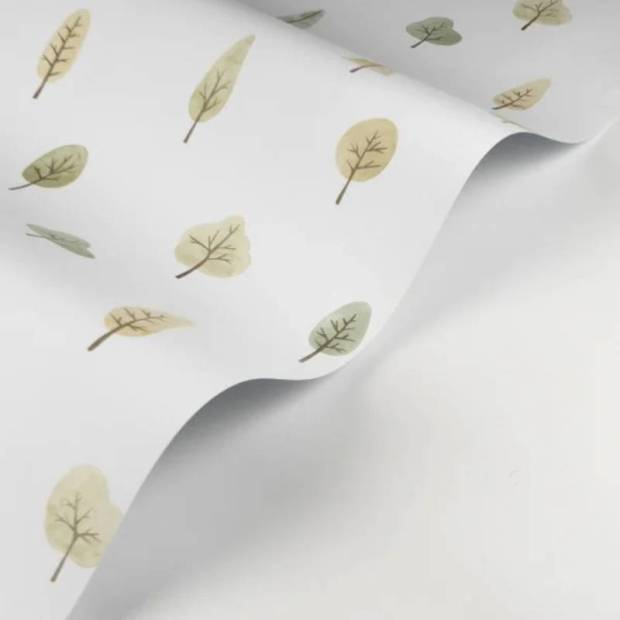 Papier Peint Walk in the park