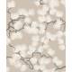 Papier peint Pine