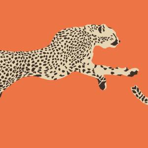 Papier Peint Leaping Cheetah