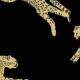 Papier Peint Leaping Cheetah