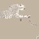 Papier Peint Leaping Cheetah