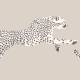 Papier Peint Leaping Cheetah