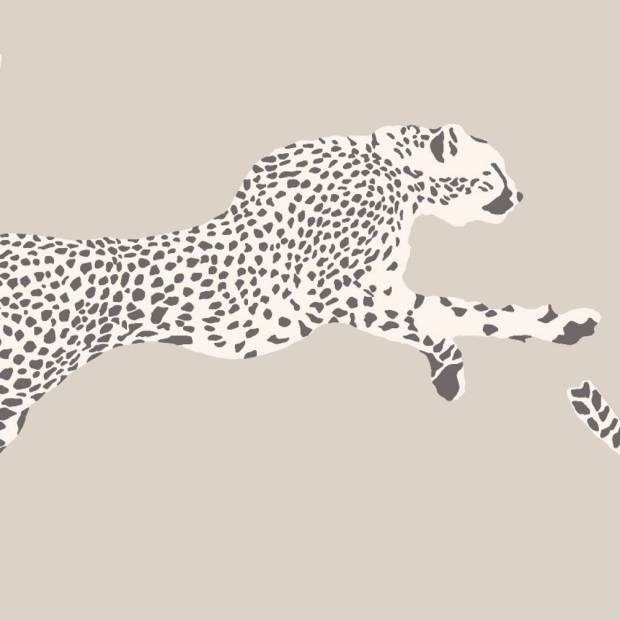 Papier Peint Leaping Cheetah
