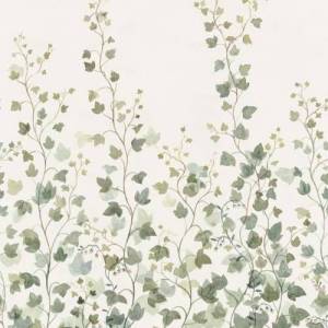 Papier peint Panoramique Ivy