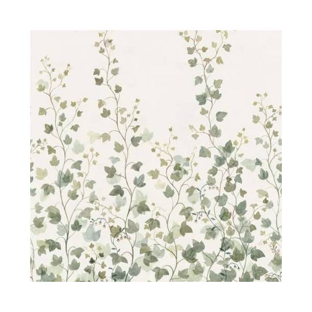 Papier peint Panoramique Ivy
