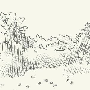 Papier peint Panoramique sur mesure Fleur de Trèfle intissé