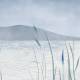 Papier peint Panoramique sur mesure Spring Lake en vinyle