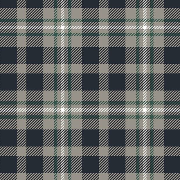 Papier peint Panoramique sur mesure Feargus en intissé