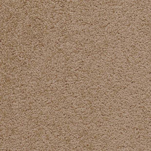 Moquette Rimini