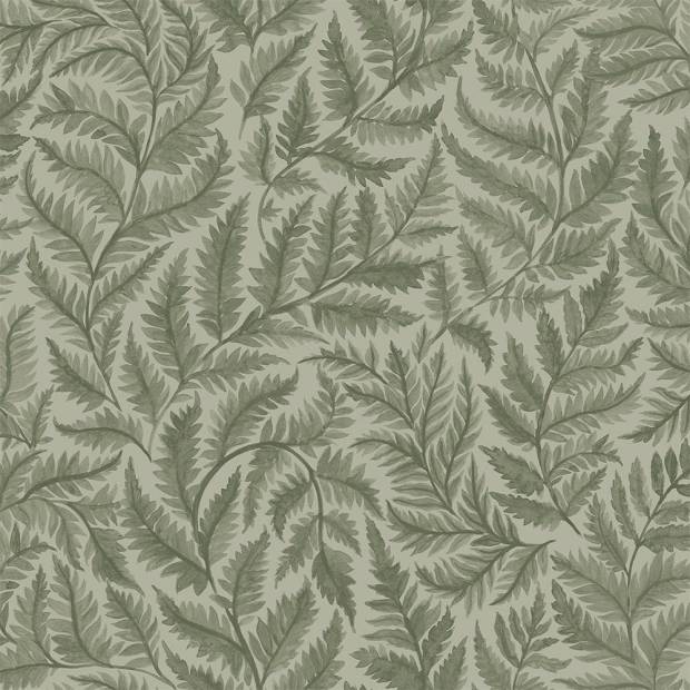 Papier peint Ferns