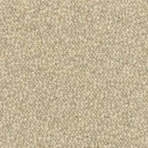 Moquette Constantine