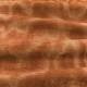 Tissu Jacopo