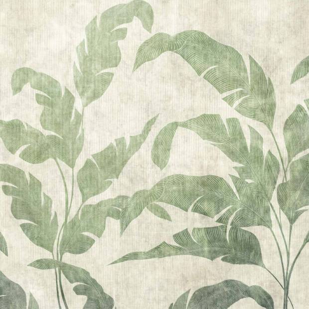 Papier peint Panoramique sur mesure Leaves Shadow en Intissé